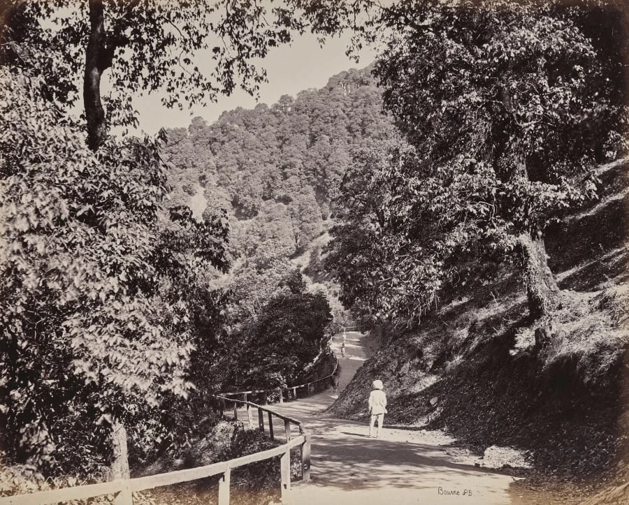 Shimla. The Mall near Rabq Lodge, by Samuel Bourne, 1866