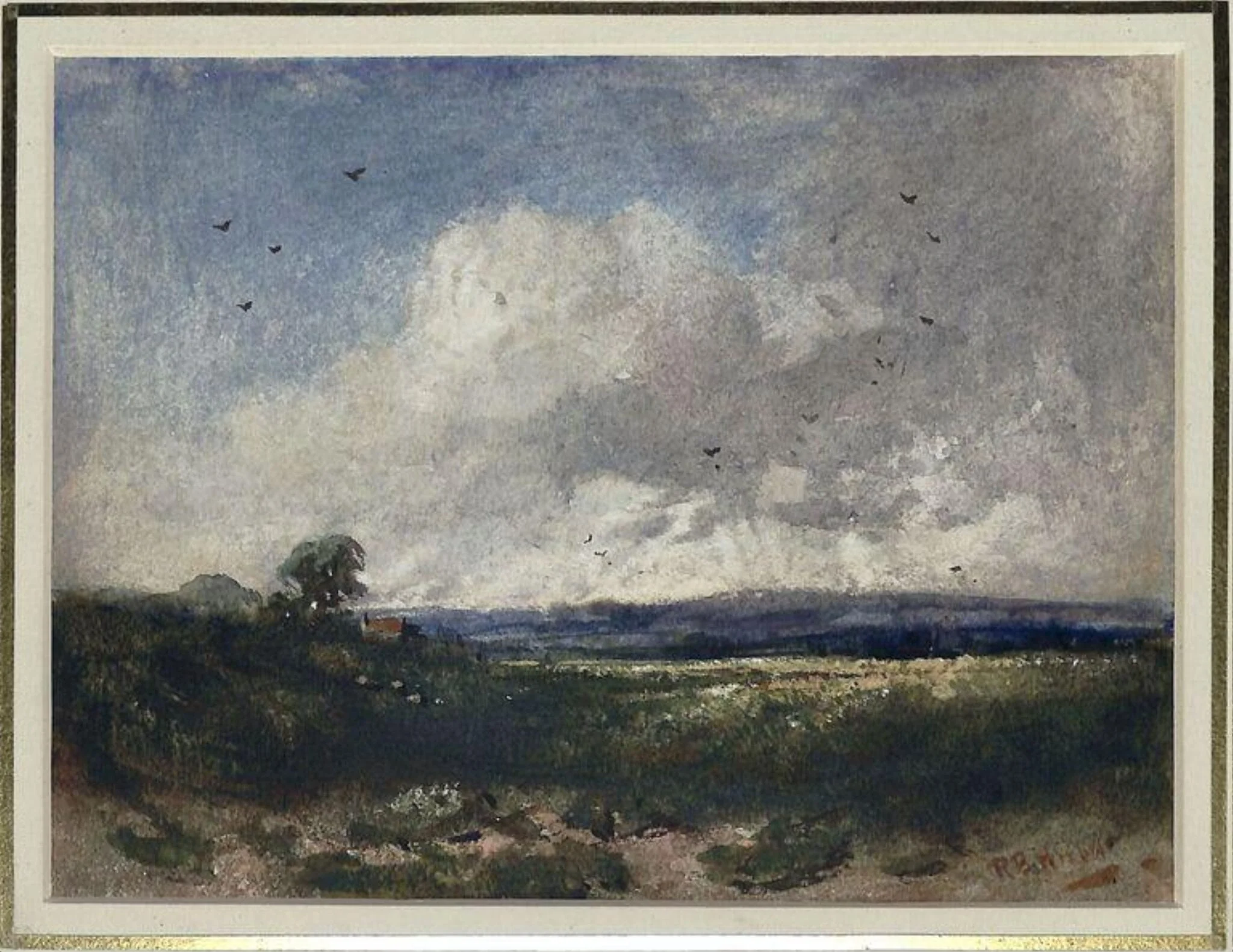 Landscape
