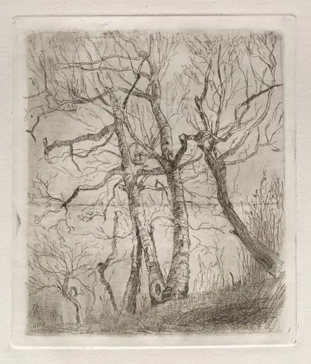 Trees