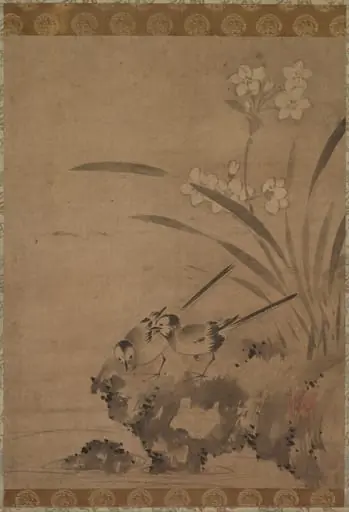 Wagtails and Narcissus