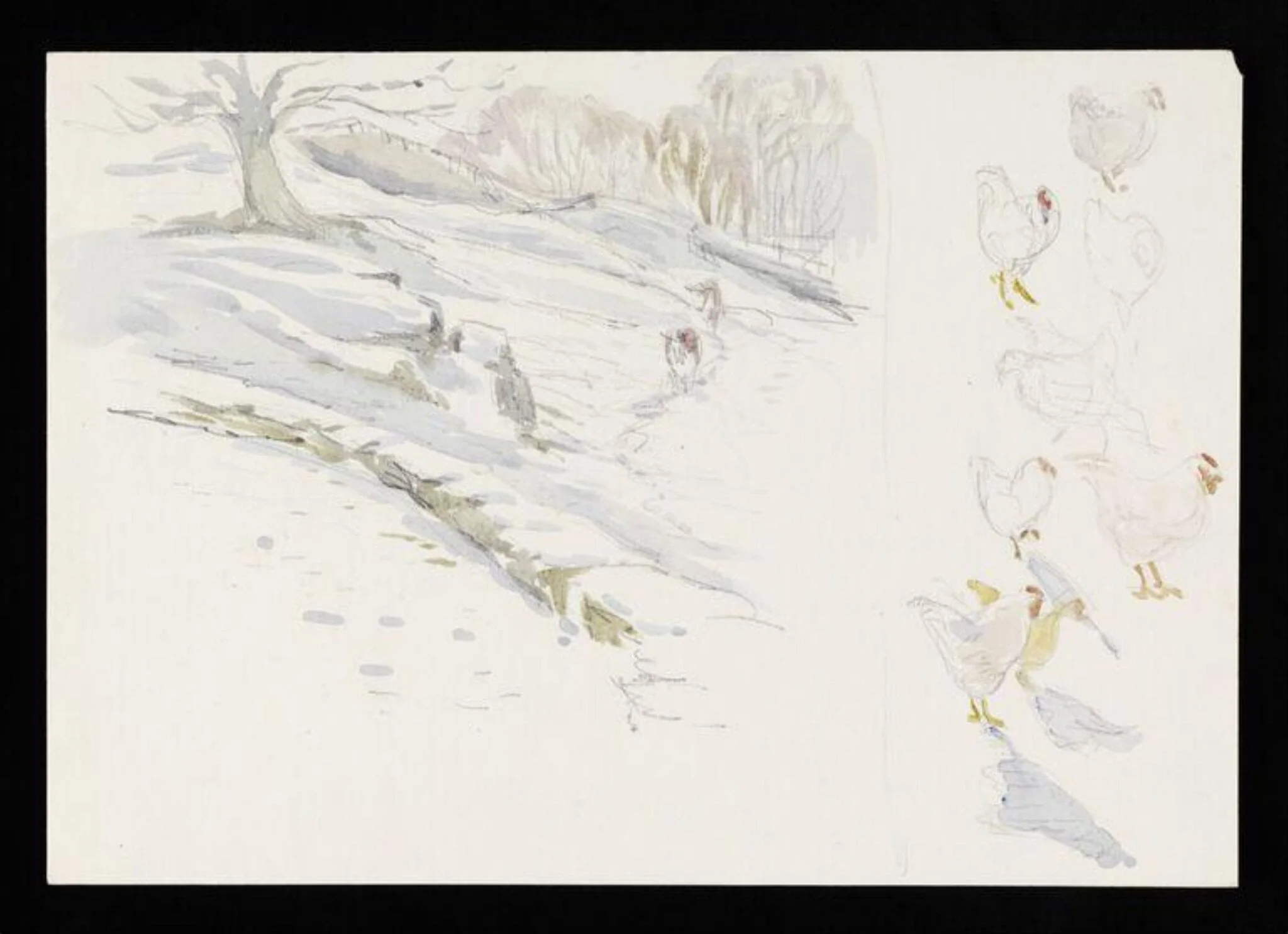 Snow scene with two cows (left) and sketches of chickens (right), by Beatrix Potter, watercolor, 1805