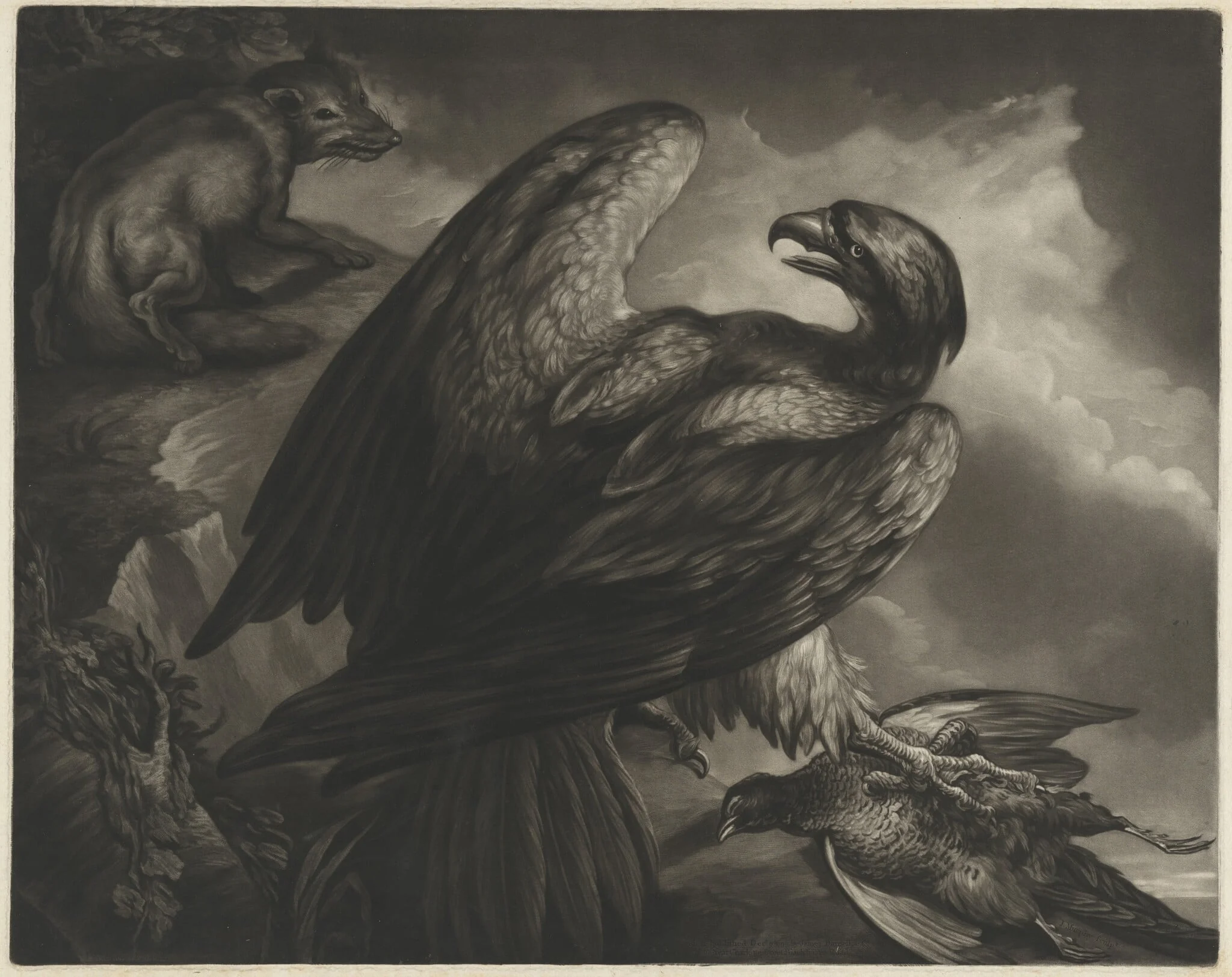 Eagle and Fox