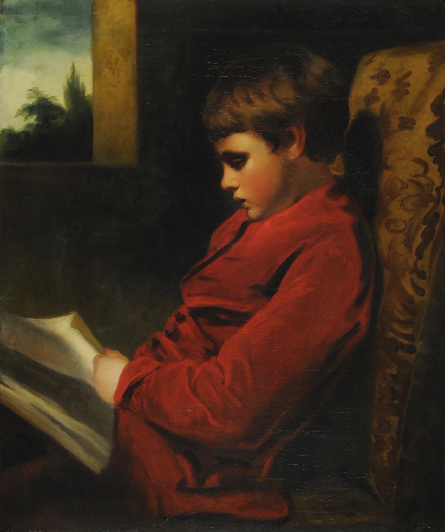 The reading Boy