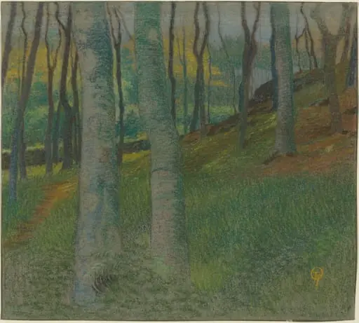 Wooded Landscape