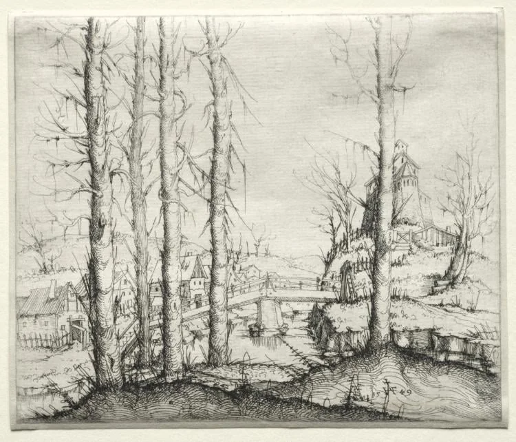 River Landscape with Five Bare Spruce Trees in the Foreground, by Augustin Hirschvogel, 1549