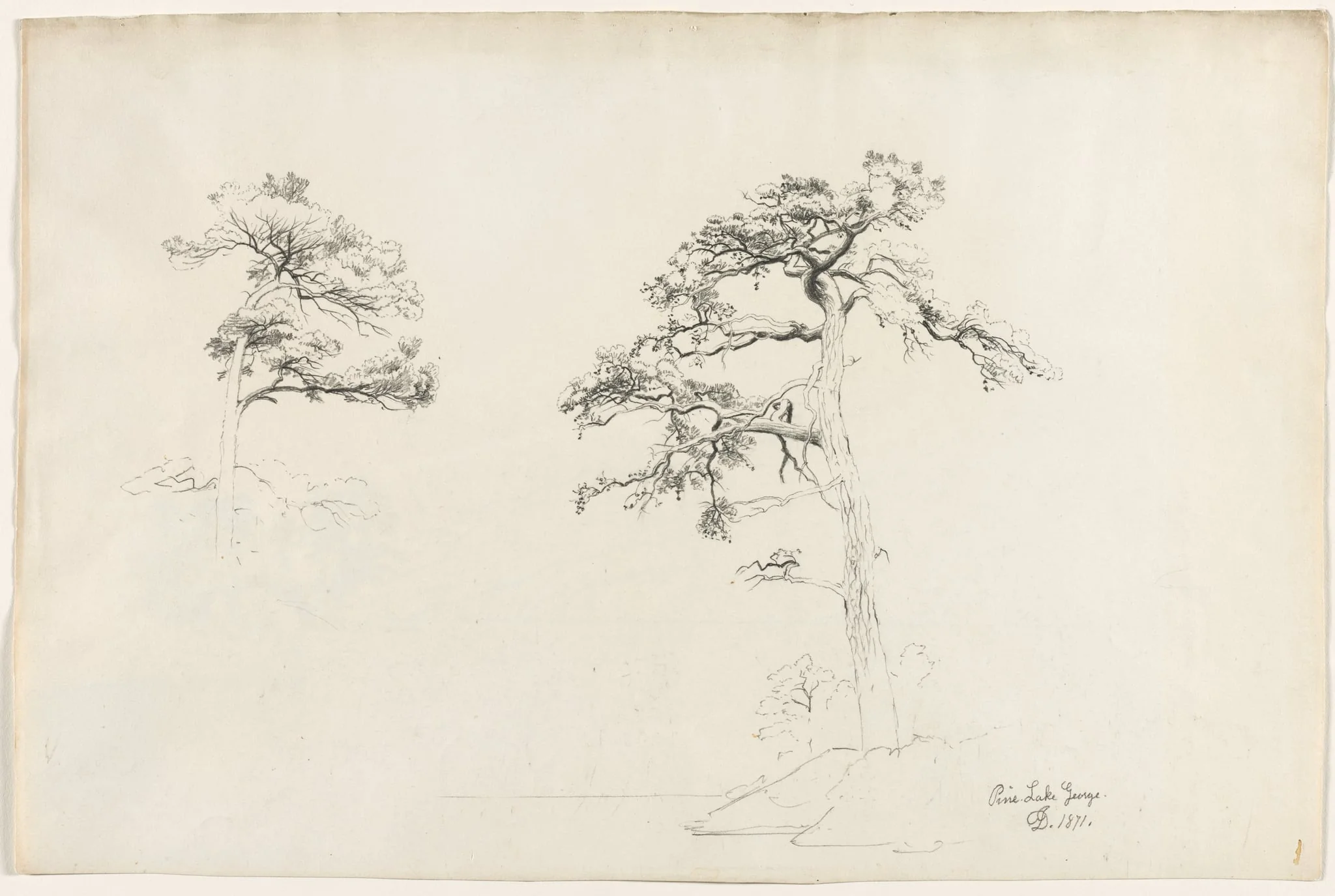 Pine, Lake George, by David Johnson, 1871
