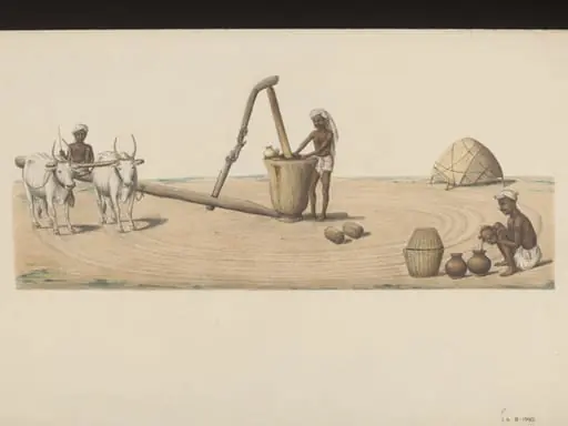 Oil monger pressing good oil