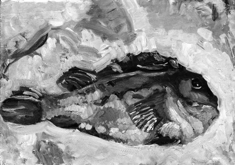 A Lumpfish