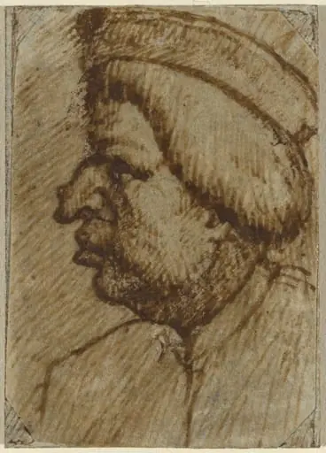 Profile of a Man