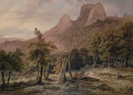 Rocky landscape