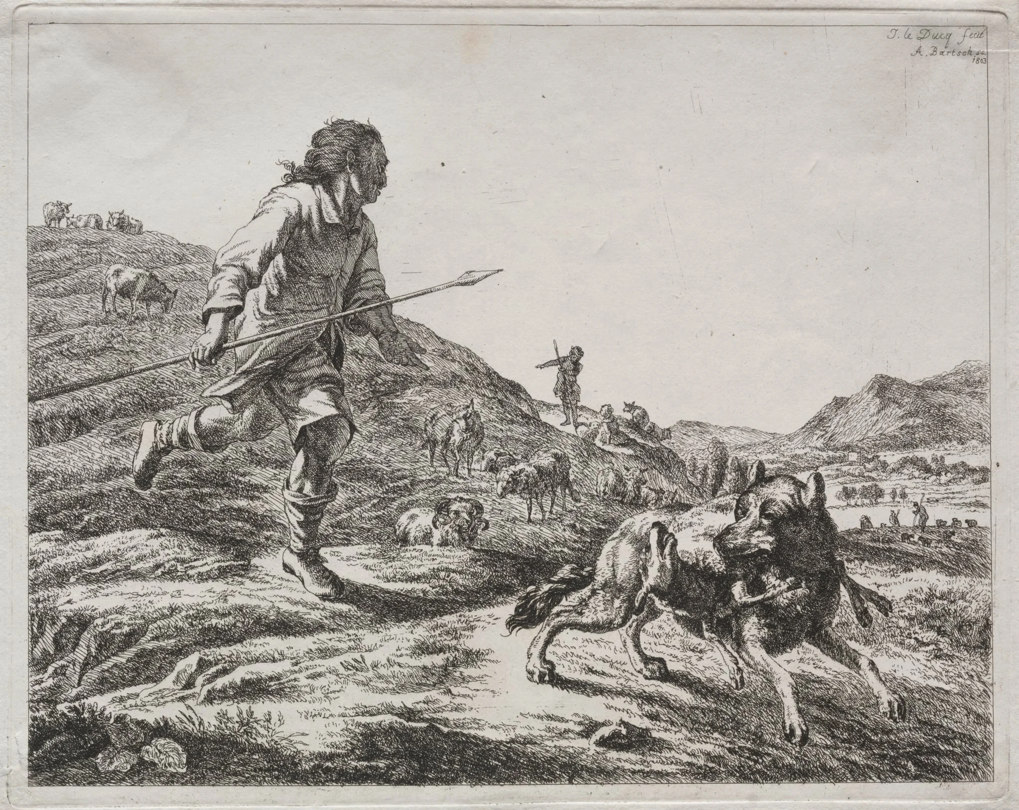 Shepherd Chasing a Wolf