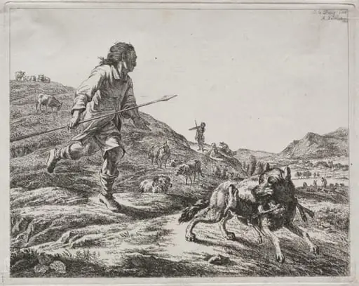 Shepherd Chasing a Wolf