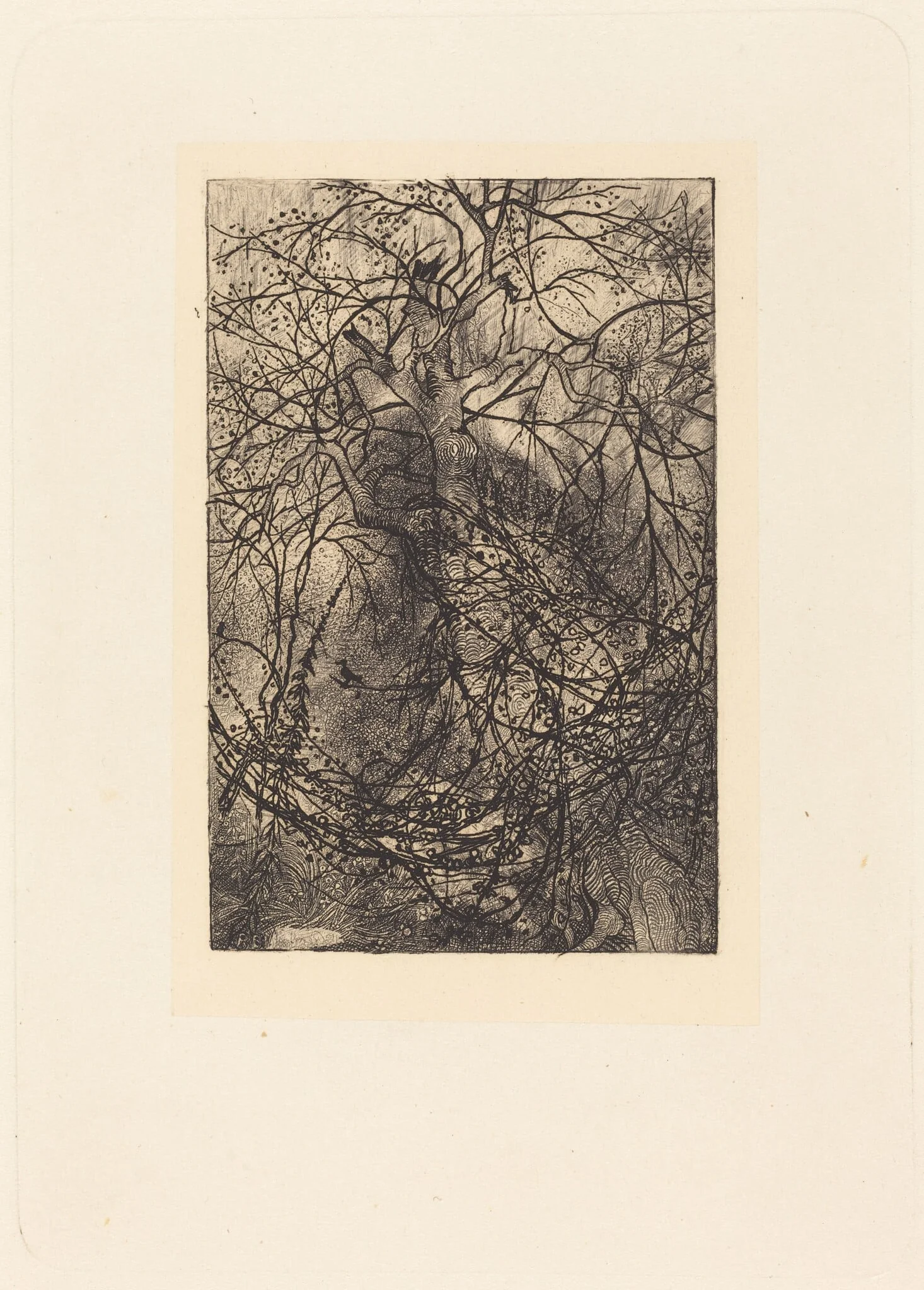 Branches, by Rodolphe Bresdin, ink, 1855