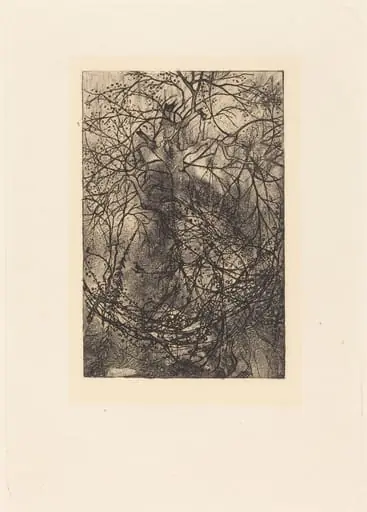 Branches