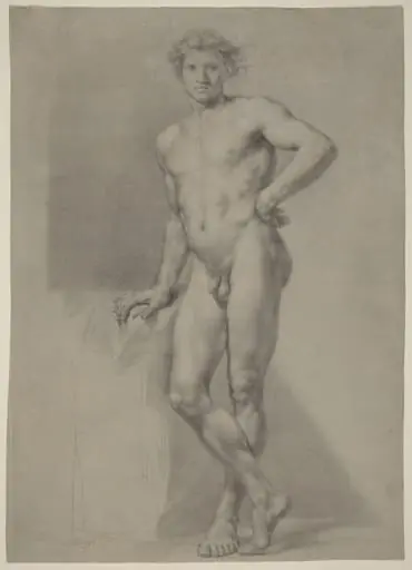 Male Nude Study