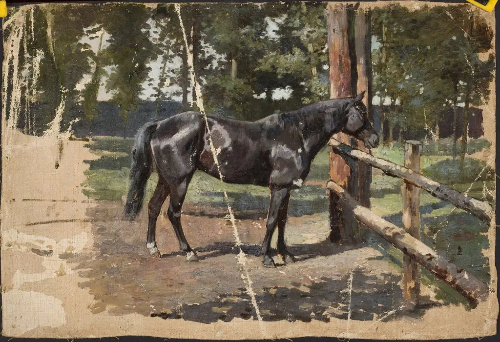 Black horse