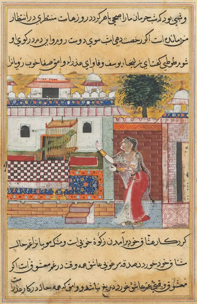 The Parrot Addresses Khujasta at the Beginning of the Twelfth Night, from a Tuti-nama (Tales of a Parrot)