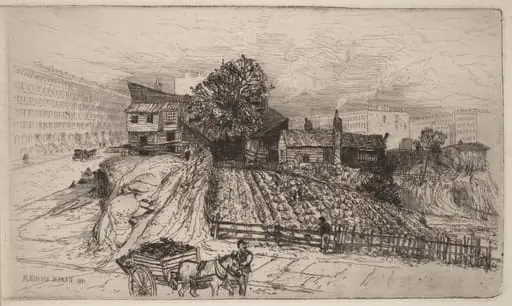 A City Farm—New York