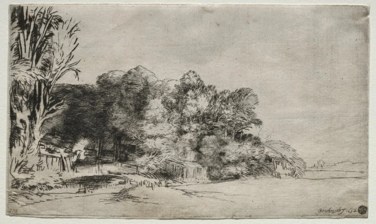 Clump of Trees with a Vista, by Rembrandt, 1652