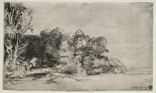 Clump of Trees with a Vista