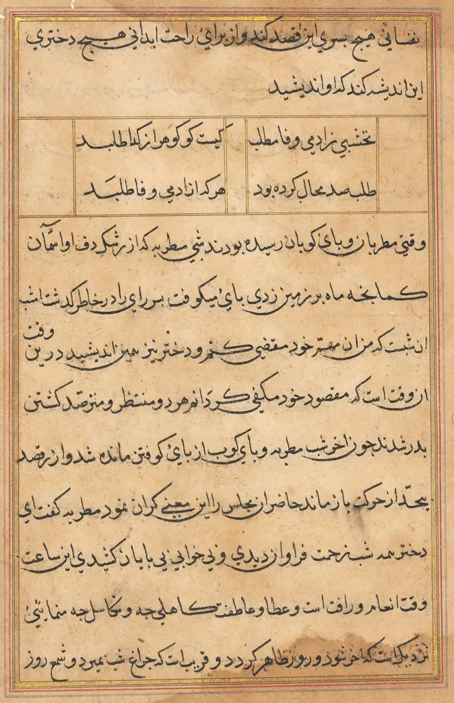 Page from Tales of a Parrot (Tuti-nama): text page