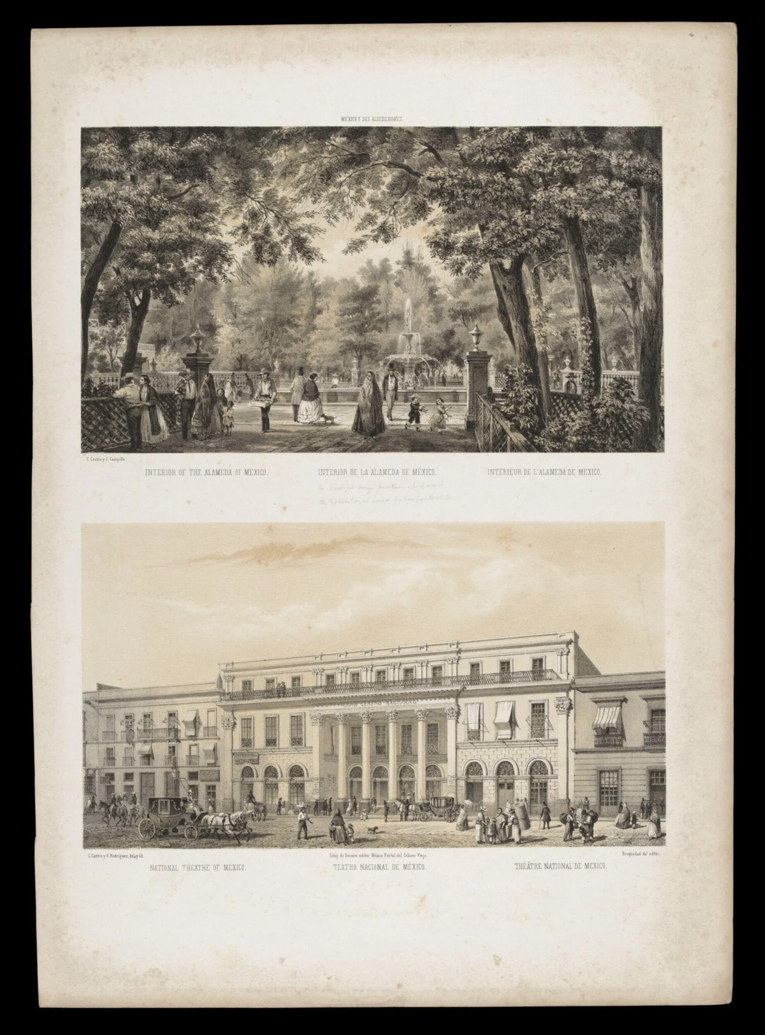 H Beard Print Collection