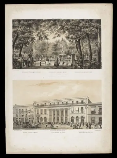 H Beard Print Collection