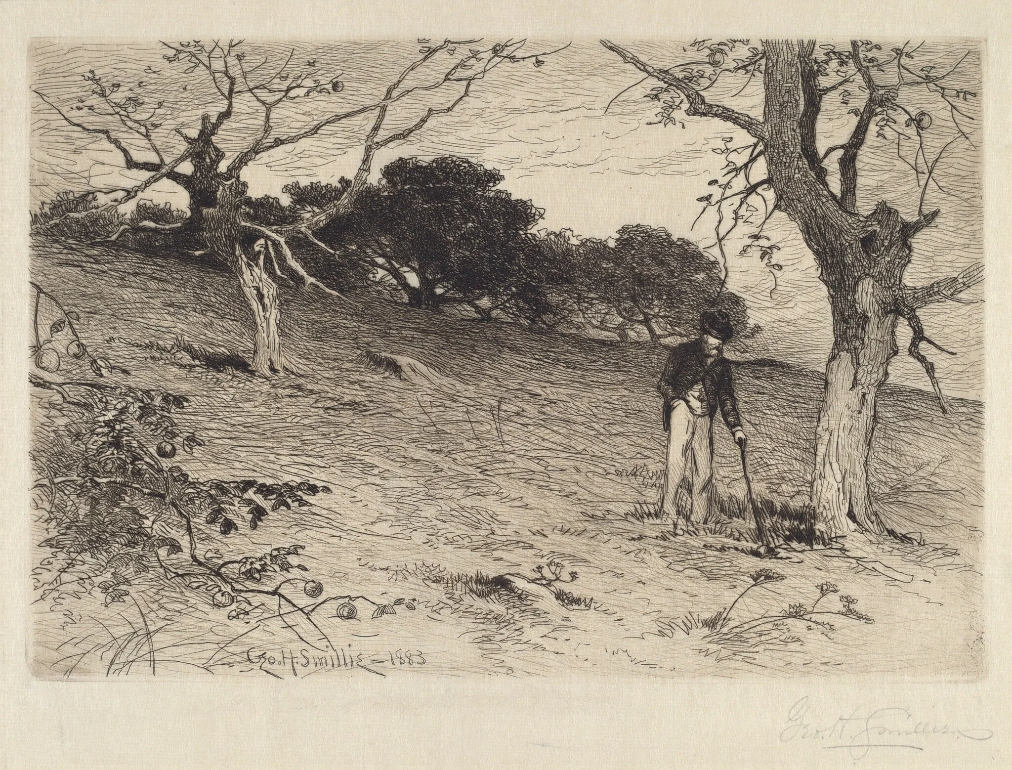 Orchard, by George Henry Smillie, ink, 1883