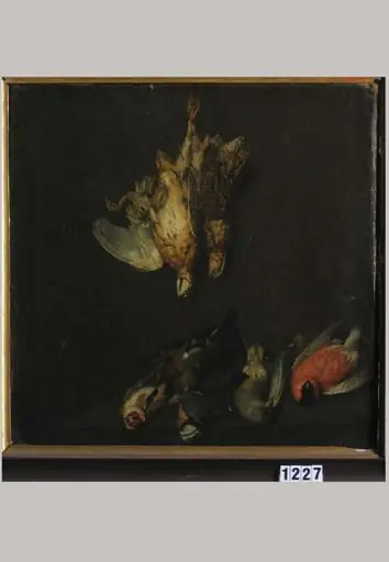 Păsări moarte
