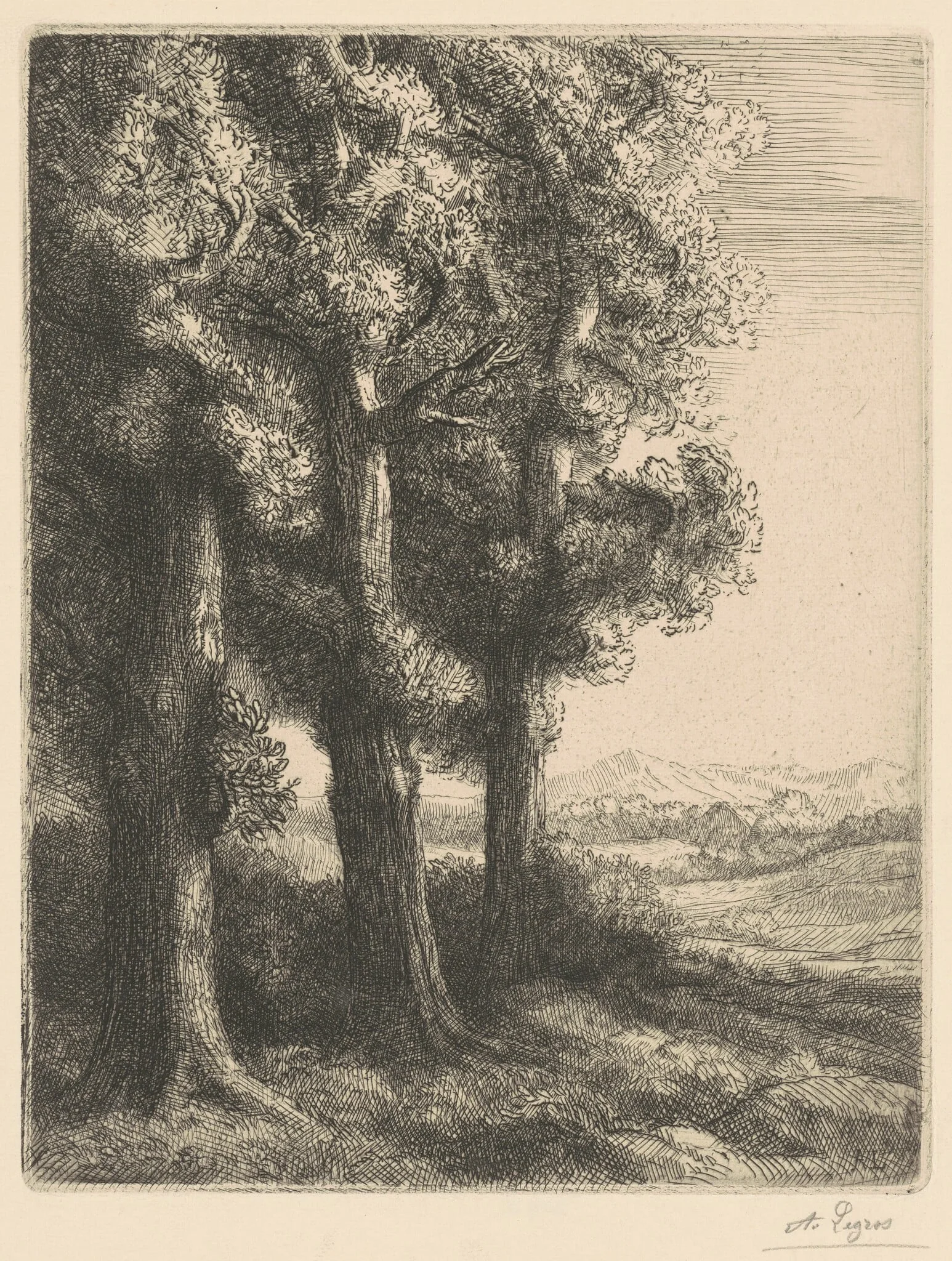 Corner of a Wood (Coin d'un Bois), by Alphonse Legros, ink, 1882