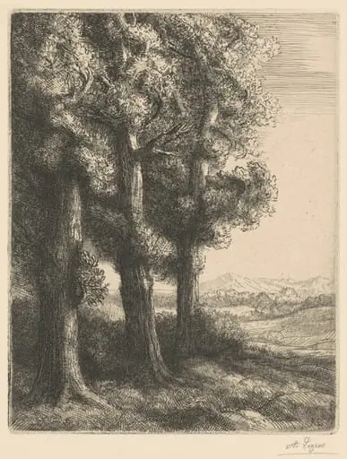 Corner of a Wood (Coin d'un Bois)