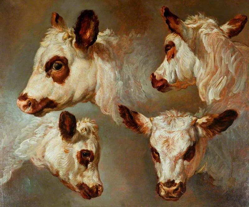 Four Studies of Heads of Cattle, by George Morland, oil, 1793