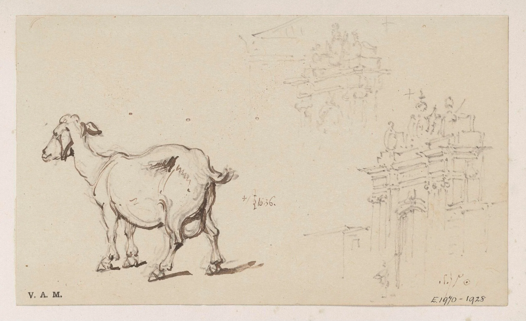 A goat, and the governor's gateway, Macau