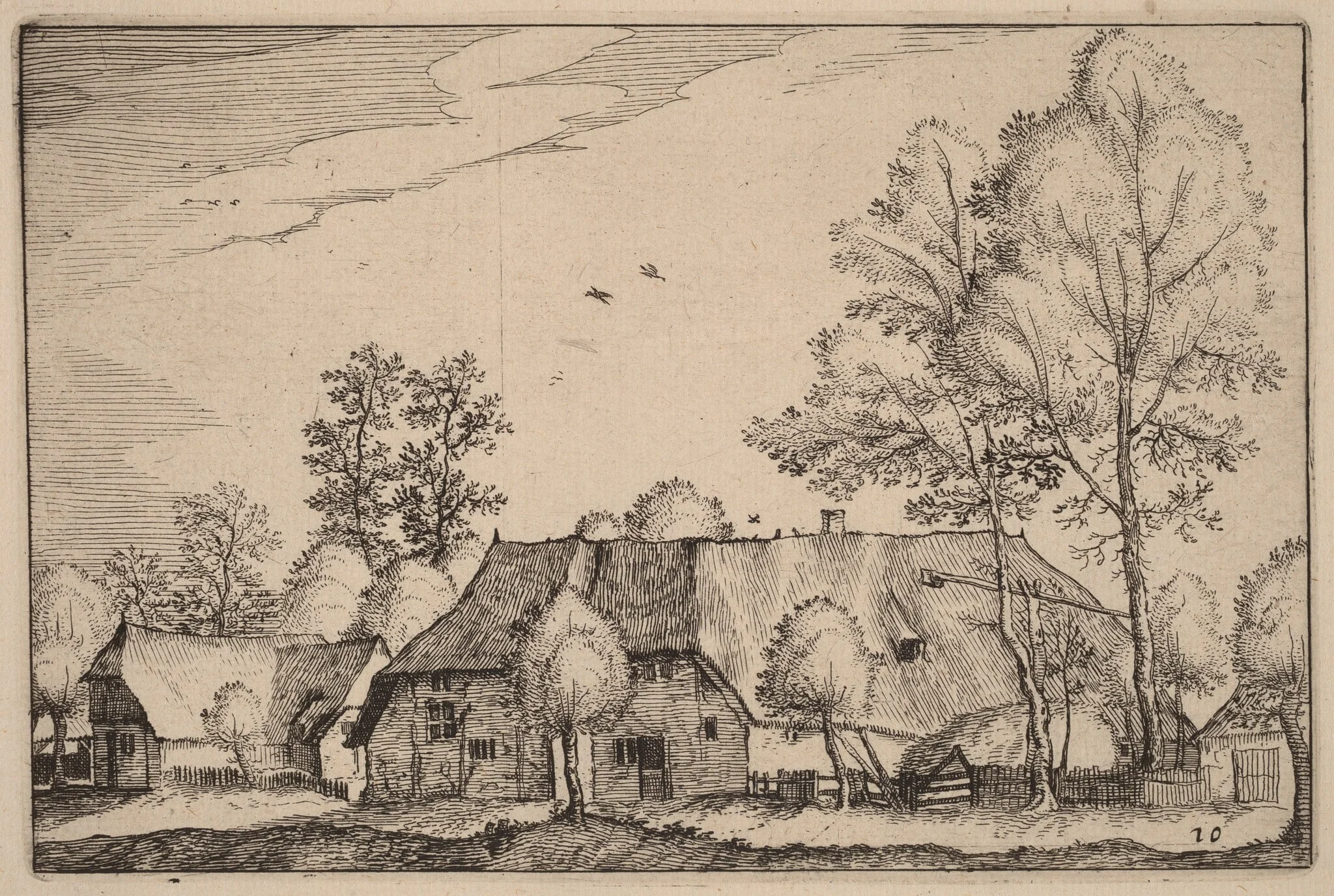 Large Farm