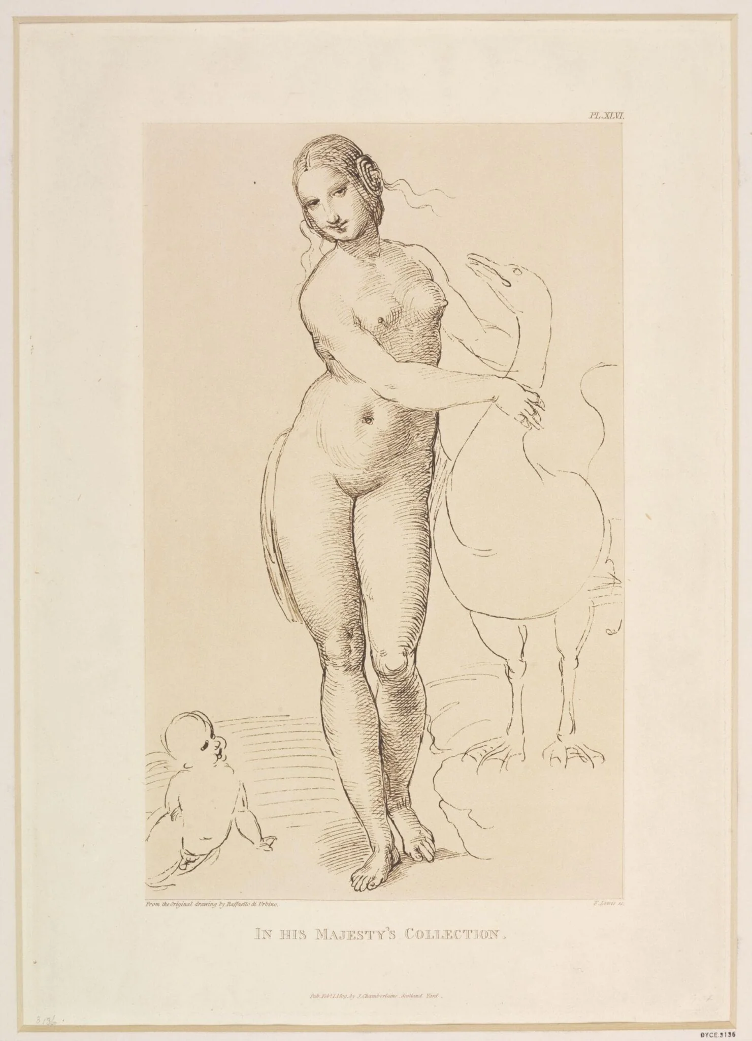 Leda