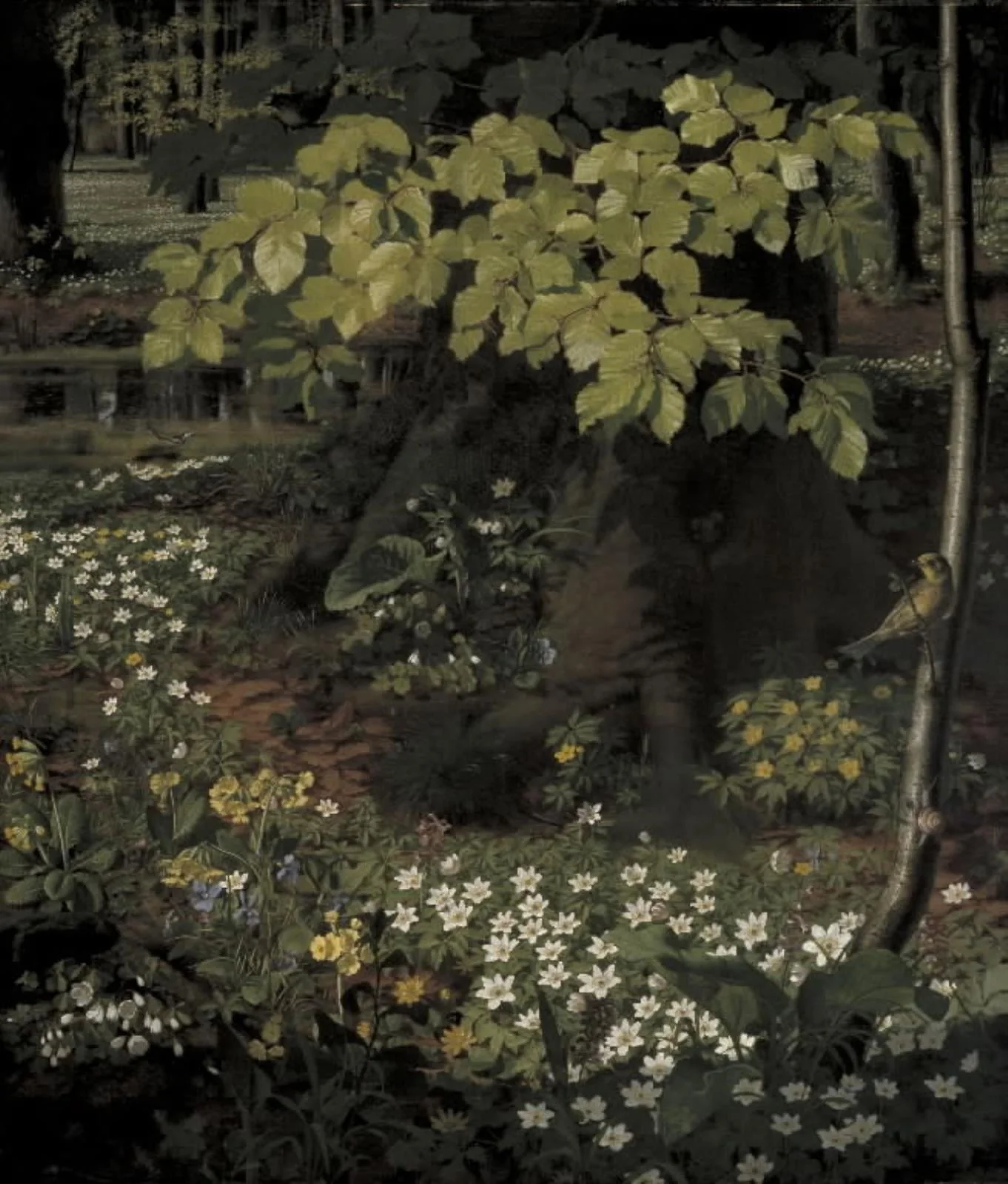 Forår i Charlottenlund Skov, by Unknown, 1862