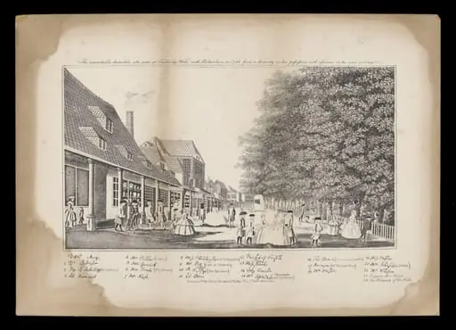 H Beard Print Collection