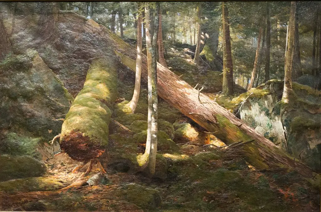 Primeval Forest