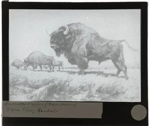 Franz Roubal. Bizons op de steppe
