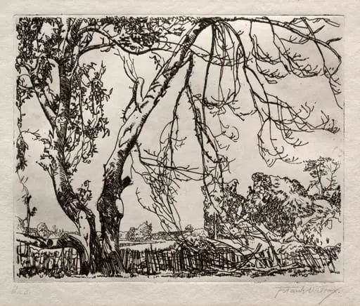 Apple Tree