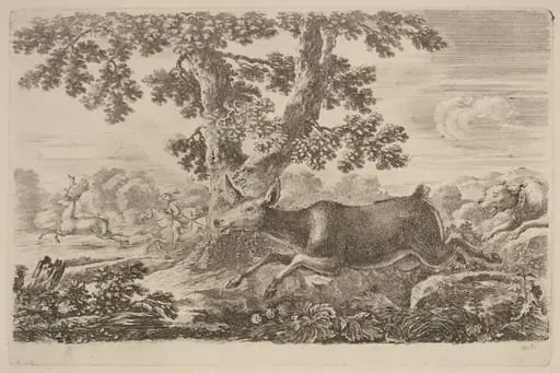 Deer Chased by a Dog to the Right