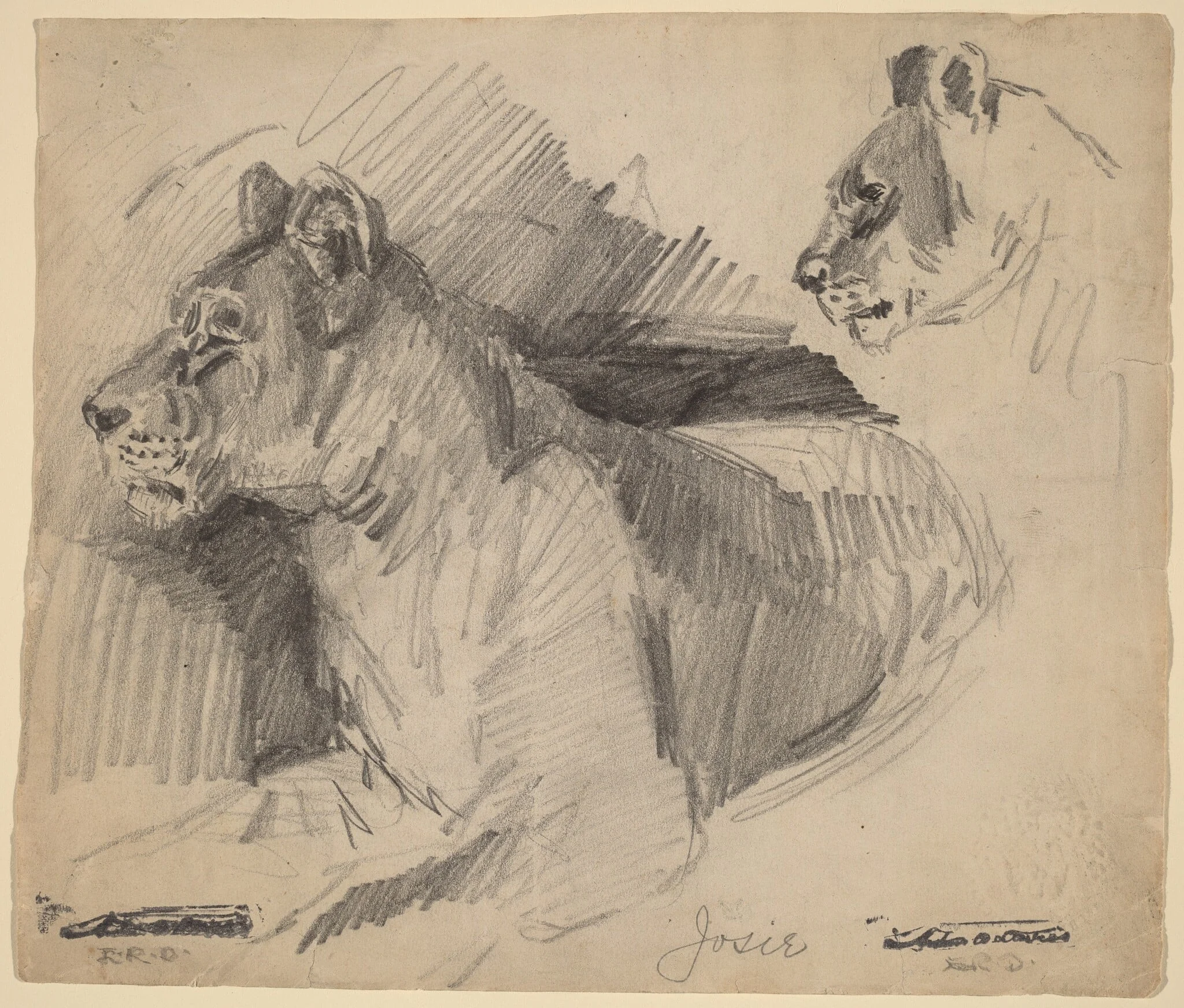 Josie, by Arthur Bowen Davies, graphite, 1892
