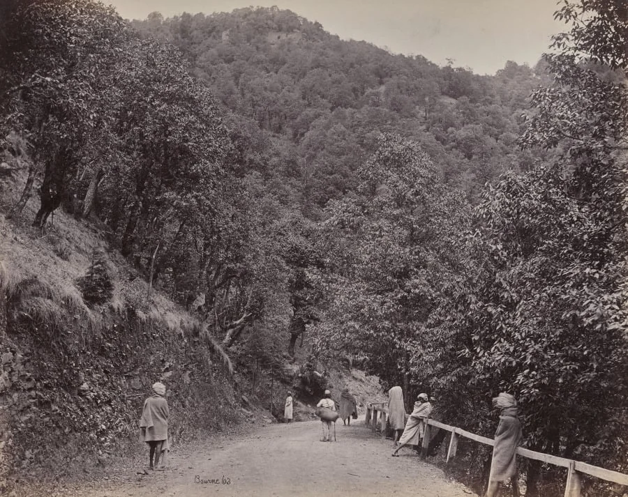 Shimla. The Mall or Principal, by Samuel Bourne, 1866