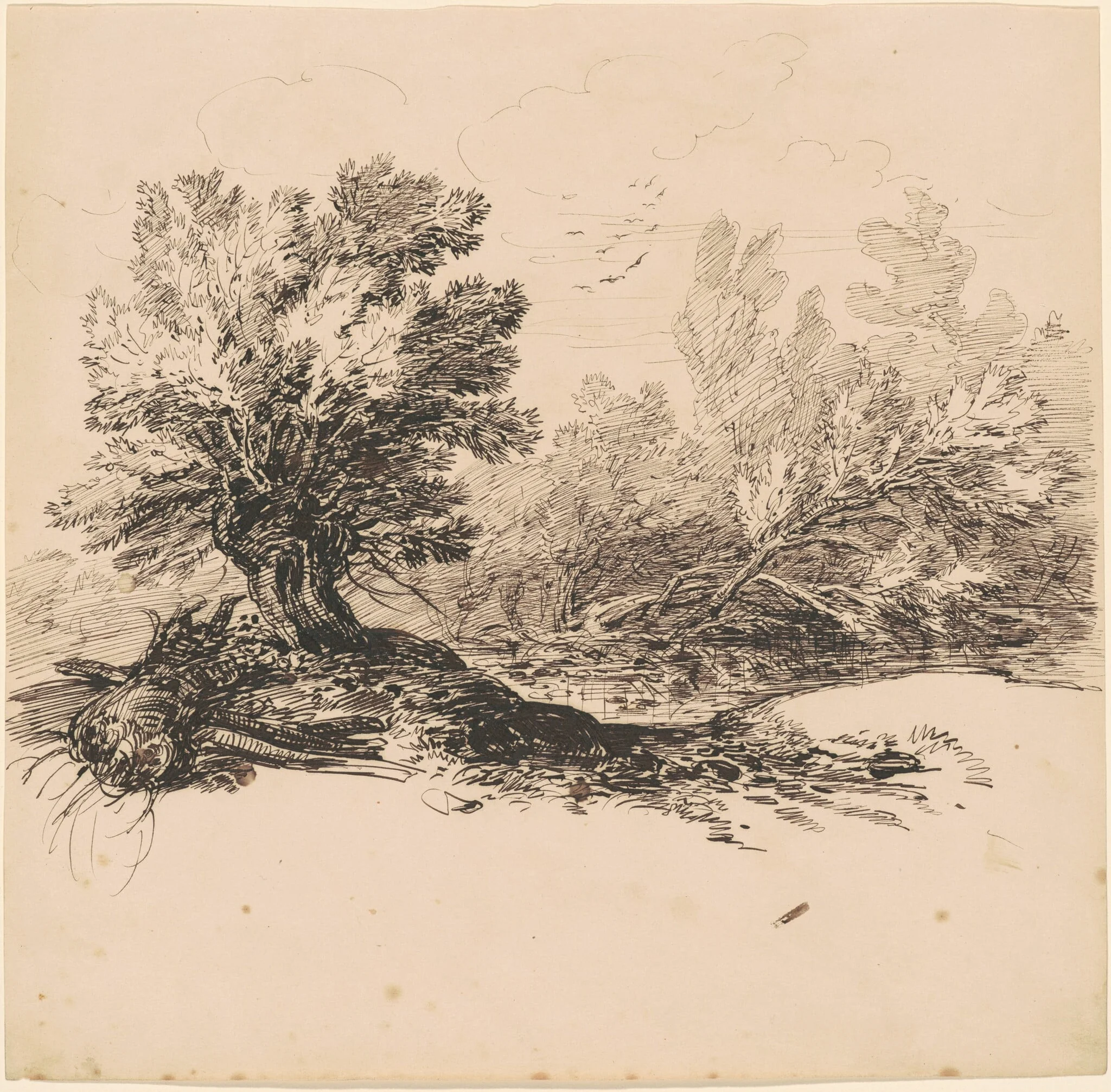 A Pollard Willow by a Stream, by Hippolyte Lalaisse, ink, 1840