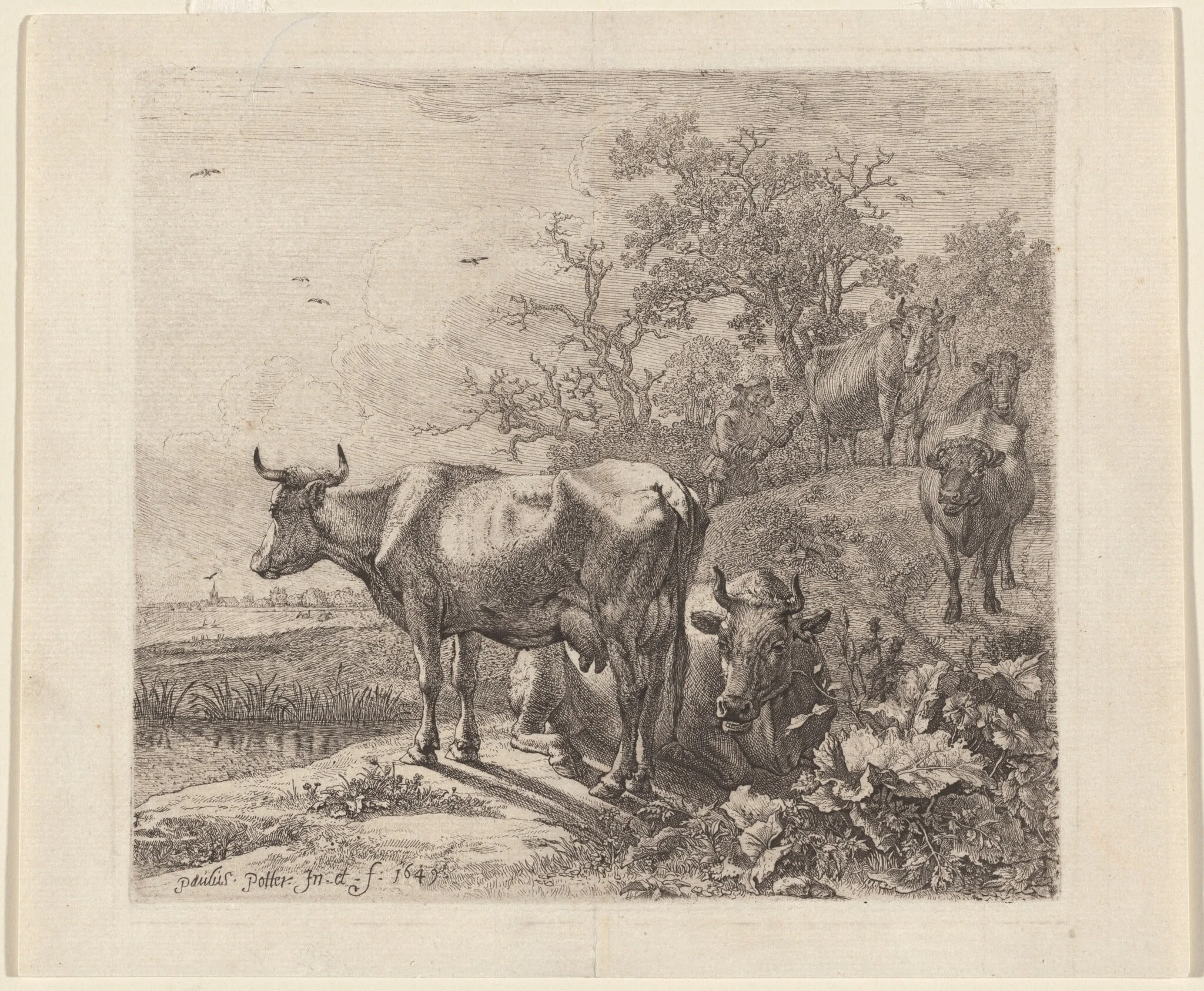 The Cowherd, by Paulus Potter, ink, 1643