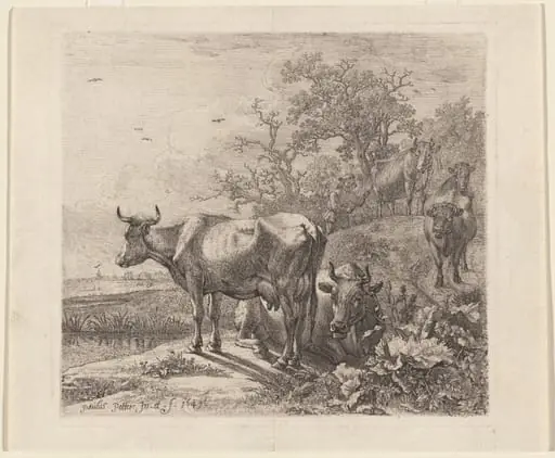 The Cowherd