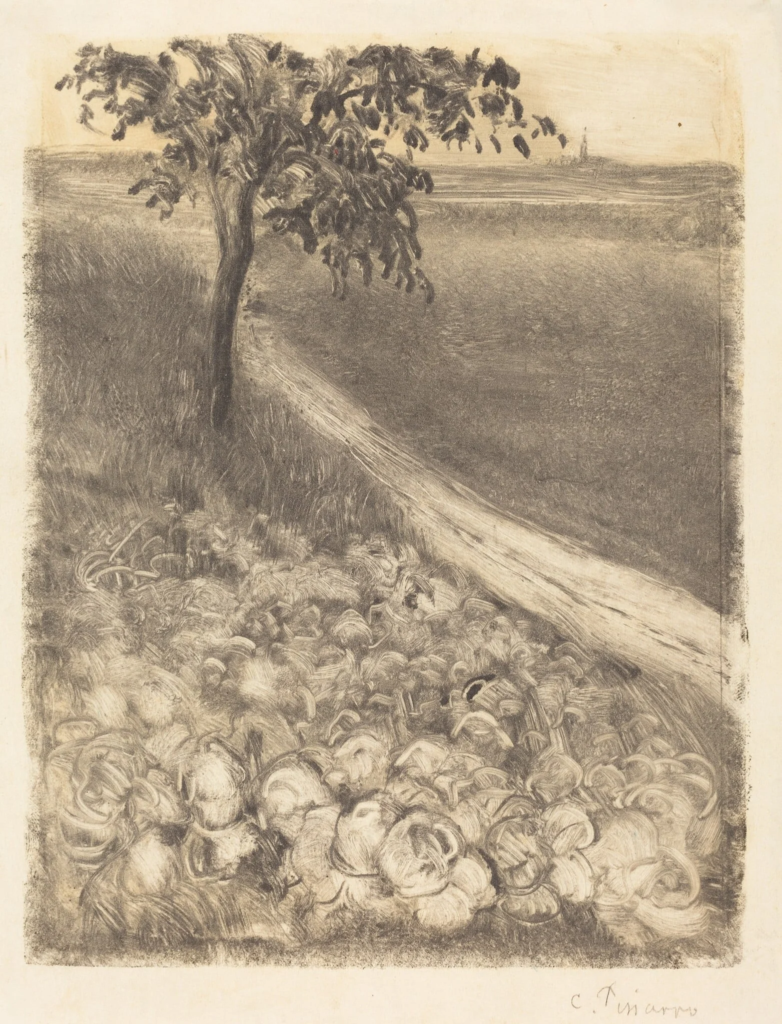Road by a Field of Cabbages, by Camille Pissarro, 1880