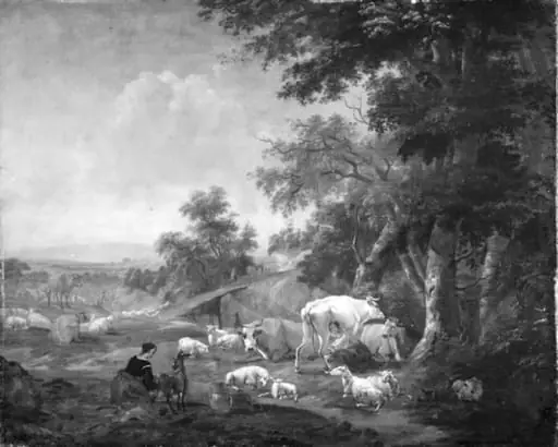 Landscape