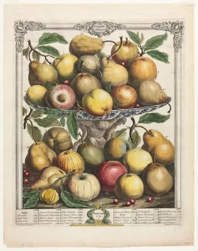 Twelve Months of Fruit:  February
