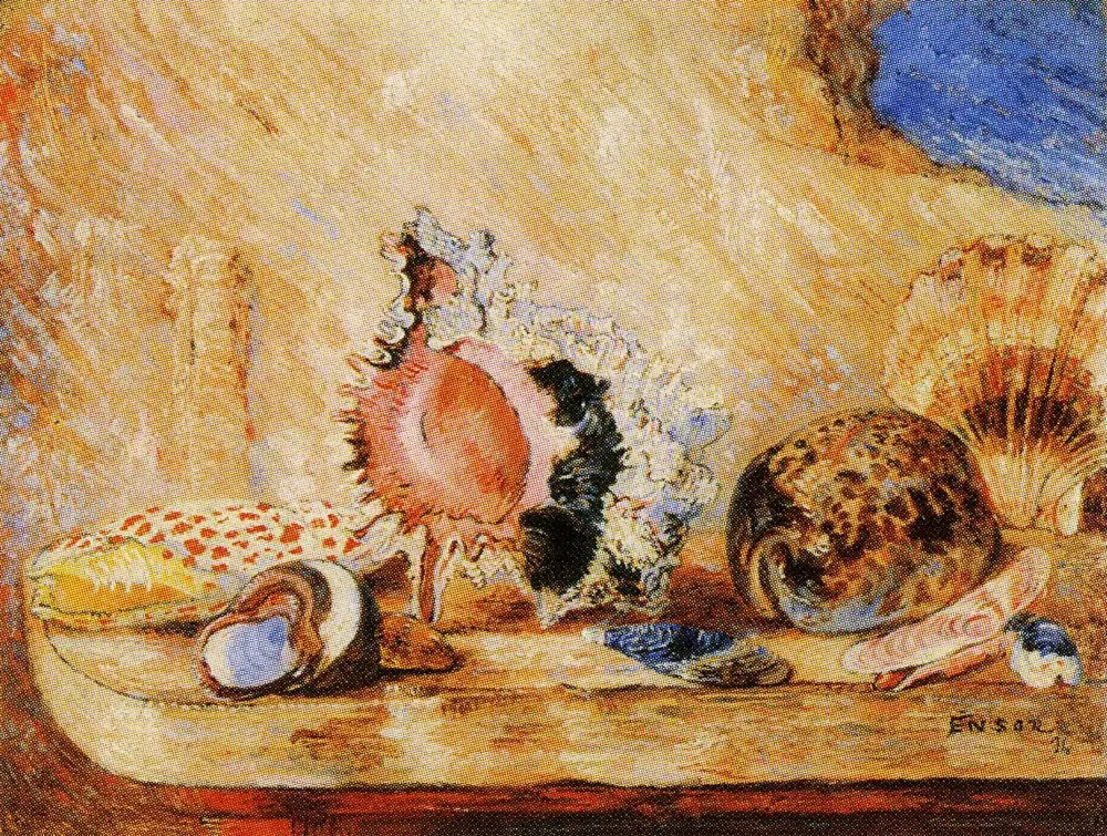 Seashells